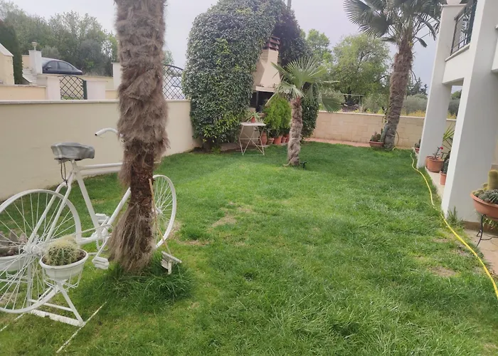 Cactushome