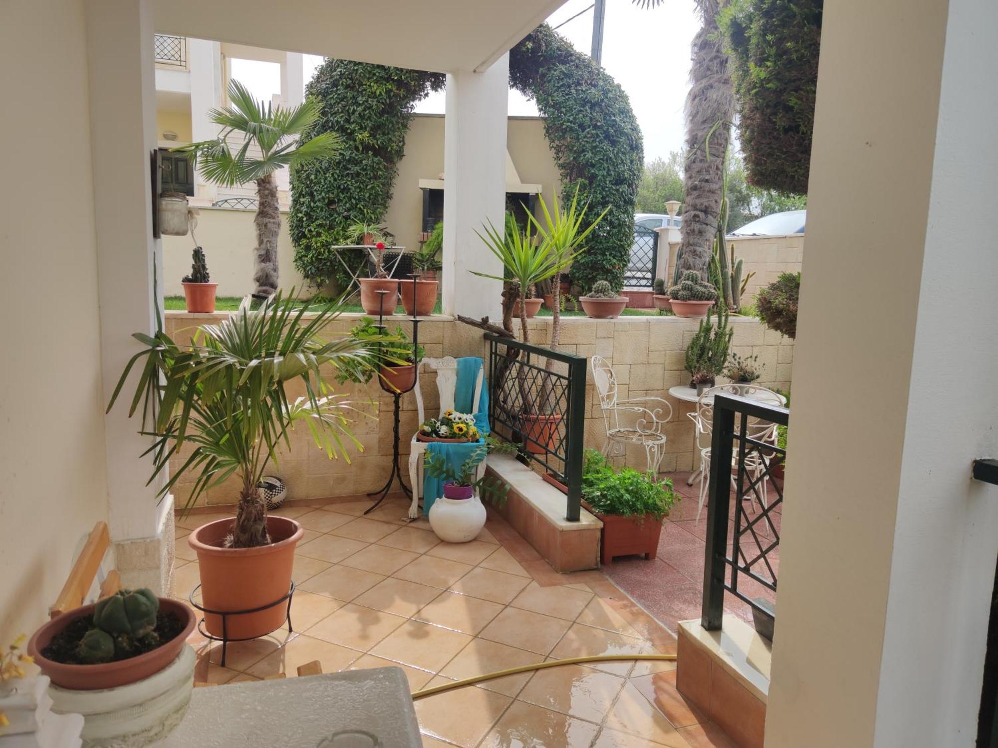 Apartment Cactushome